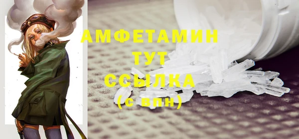 прущие грибы Балахна