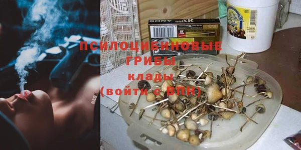 тгк Баксан