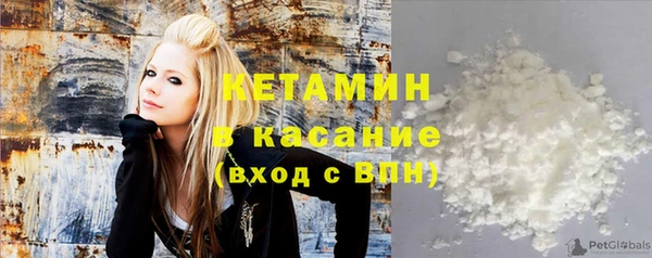 прущие грибы Балахна