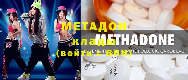 прущие грибы Балахна